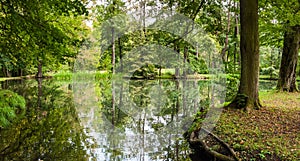 Small lake in a forest park