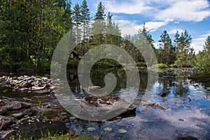 Small lake in the forest with reflection, water lily and wooden house, Norway