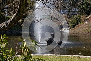 Small lake with a fountain - Marianske Lazne Marienbad