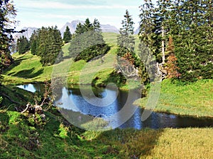 A small lake on the grassy plateau of the Churfirsten mountain range