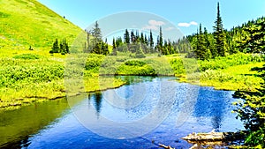 Small lake in the high alpine near the village of Sun Peaks