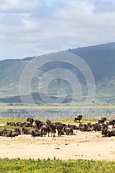 A small lake inside the crater. NgoroNgoro, Tanzania. Africa photo