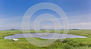 Small lake in the landscape of Texel island