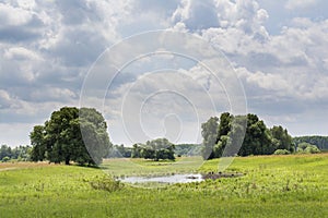 Small lake located near by trees under cloudy sky