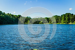 Small lake in the middle of a forest