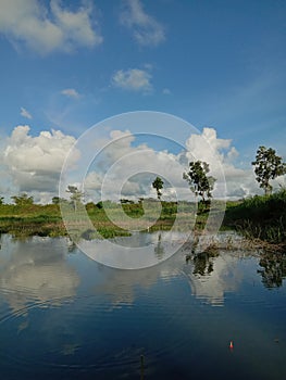a small lake near rice fields and a river in Bunder, Banaran, Galur, Kulon Progo, Yogyakarta photo