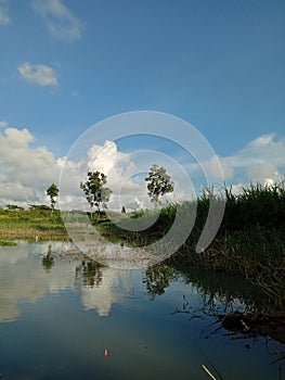 a small lake near rice fields and a river in Bunder, Banaran, Galur, Kulon Progo, Yogyakarta photo