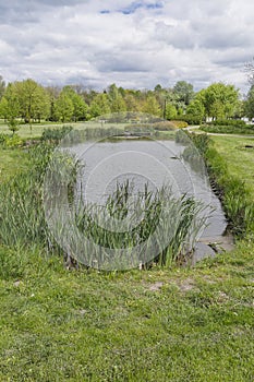 Small lake in the park