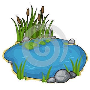 Small lake with reeds. Vector in cartoon style photo