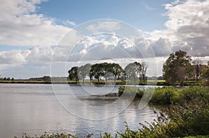 Small lake with a row of trees