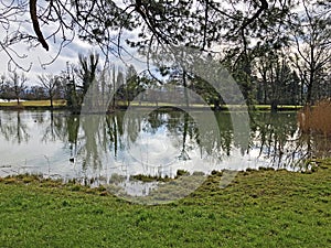 Small lake Schubelweiher or Schuebelweiher or Pond Schubelweiher, Kusnacht am Zurichsee Kuesnacht am Zuerichsee