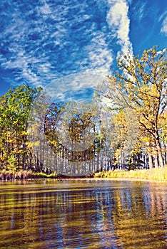 Small lake with several trees around in autumn time