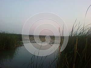 Small lake srounded in grass