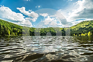 Small lake surrounded with pine forest