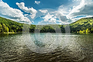 Small lake surrounded with pine forest