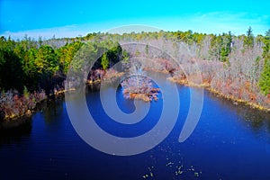 Small Lake Surrounded by Trees