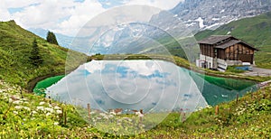 Small lake surrounded by wildflowers, kleine scheidegg tourist destination switzerland