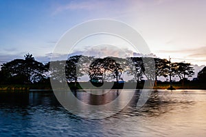 Small lake and trees in the evening at golden hour