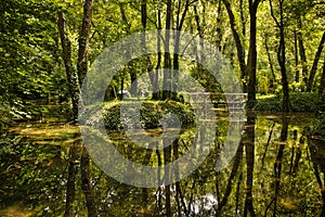 Small lake under the forests of the Stone Monastery. Monasterio de Piedra. Zaragoza. AragÃ³n