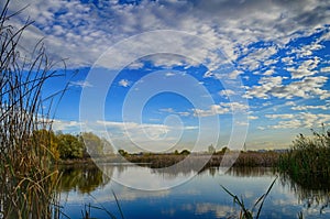 Small lake in Vacaresti Natural Park, Bucharest, Romania