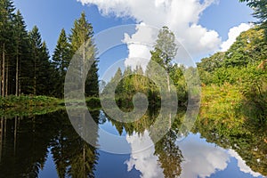 Small lake with a wooden pier in the Belgium Ardennes and Eifel park of the province of Liege near Bayehon.