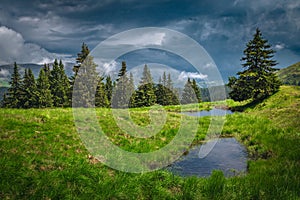 Small lakes on the green meadow at rainy day