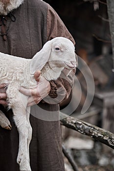 Piccolo agnello pastori braccio 