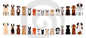 Small and large dogs border border set, full length photo