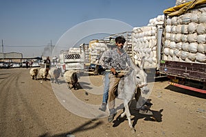 The economic agriculture  Kurdistan