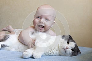 A small laughing child hugs a big fluffy cat