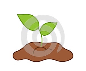 Small, leafy green seedlings on the ground. Vector drawing in cartoon style