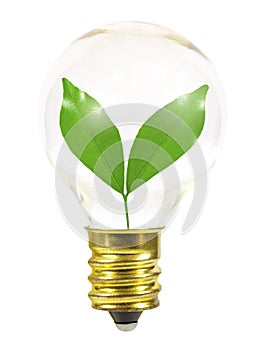 Small light bulb with leaves
