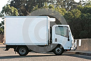 Small light truck with refrigerated container