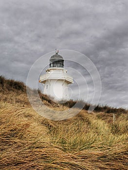 A small lighthouse building on the vegetated dunes in New Zealand photo