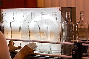 Small liquor production based on maple syrup. Lot of pure alcohol bottles unlabeled. Bottles placed in a row. Person in