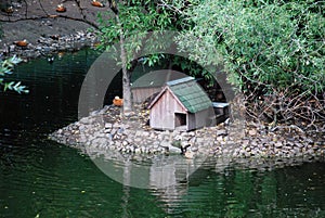 Small lodges for birds on the bank of a pond in Moscow Zoo.