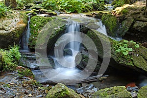 Small, low cascading waterfall in lush forest