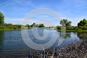 Small man made island with lush green vegetation at Kern River Parkway, Bakersfield, CA.