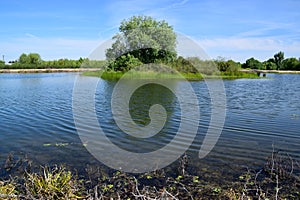 Small man made island with lush green vegetation at Kern River Parkway, Bakersfield, CA.