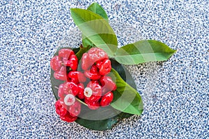 Small mangosteen in flowers.