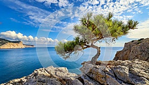 Small Maritime Pine Growing on the Rocky Cliff with a Beautiful Seascape on Background - Generative Ai