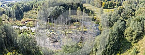 Small marsh among green forest. aerial panoramic view