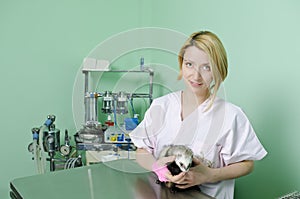 Small marten to the vet