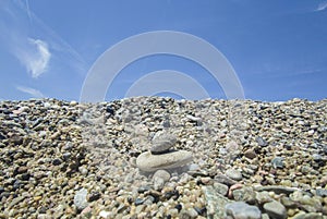 Small mediterranean sea snail, known as Steromphala divaricat