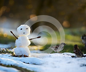 A small melting snowman in a clearing with melting snow and Sparrow birds in a spring meadow. The coming of spring.