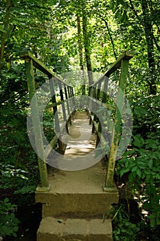 Small metal bridge in woodland