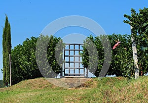 Small metal gate door among the hedges in the countryside. Little cypress, a rose ,green grass and blue sky on background