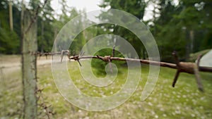 Small military old bunker surrounded by barbed wire in summer forest