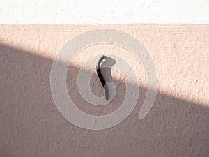 Small millipede on the wall