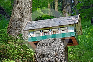 Small miniature house on a sawed tree trunk in the forest